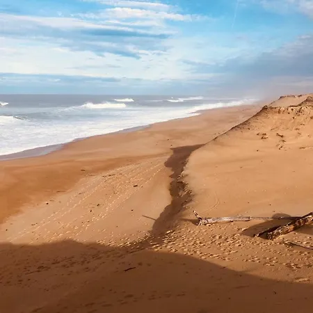 Joli A 300 M De La Labenne
